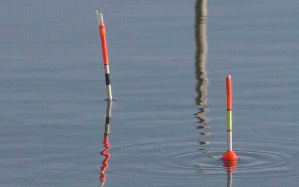 钓鱼什么漂相可扬竿?