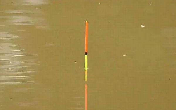 钓鱼什么漂相是中鱼了?