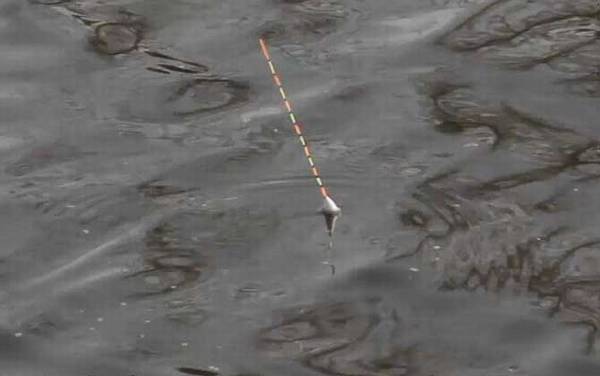 漂相很好不中鱼怎么办?