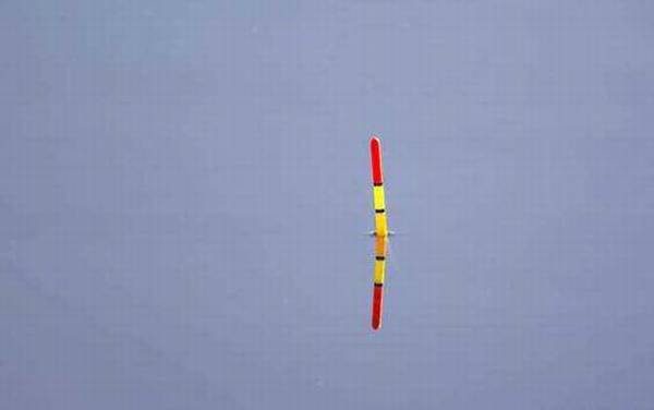 青鱼漂相怎么看及抓口技巧