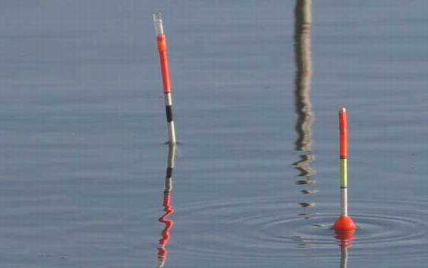 黑漂是什么意思?