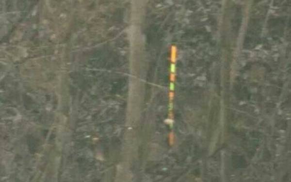 黑漂和顿口有什么区别?