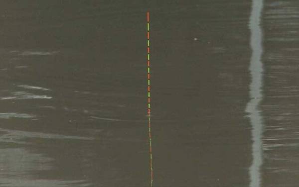 黑漂提竿不中鱼怎么办?