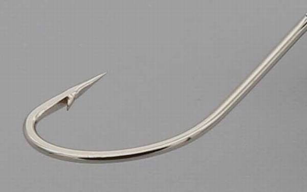 秋田狐适合拉饵吗?完全没有问题,秋田狐拉饵钓小鱼堪称一绝!