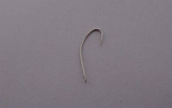 秋田狐几号适合钓鲫鱼?一般用1~6号,具体用几号看鲫鱼大小!