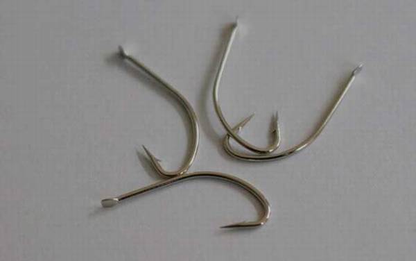 白狐鱼钩适合传统野钓鲫鱼吗?适合,尤其适合挂蚯蚓等虫饵!