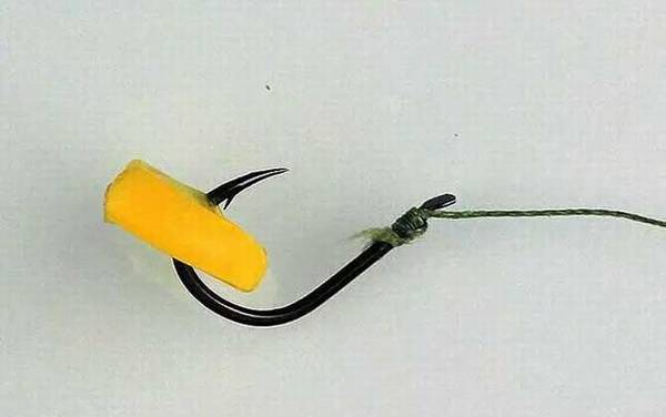 十大野钓鲤鱼饵料排名,第一名是玉米,玉米堪称是“素饵之王”!