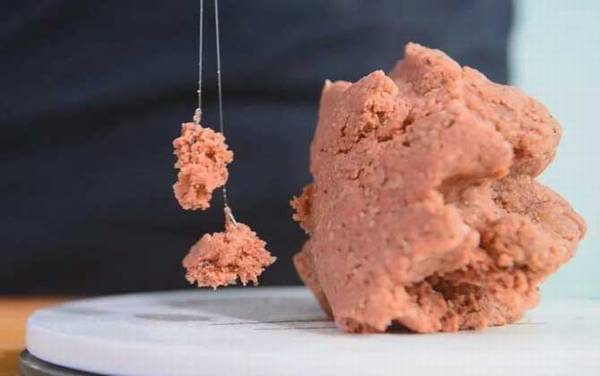 鱼饵料是什么意思?有几种?划分依据不同鱼饵料的种类也不同!