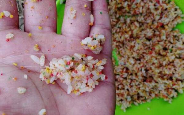 钓鱼万能饵料有哪些?这6种饵料,最适合鱼情复杂的野钓!