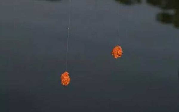 鱼饵怎么挂钩不掉?主要有两种方法,一种是拉饵,一种是搓饵!