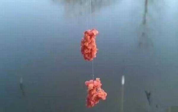 鱼饵怎么挂钩不掉?主要有两种方法,一种是拉饵,一种是搓饵!