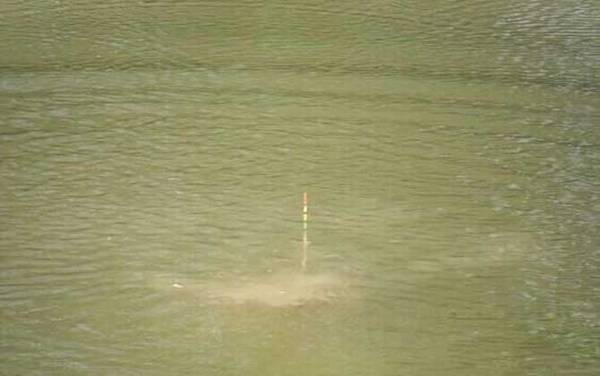 为什么黑漂后钓不起来?原因非常多,最常见的是“小鱼闹窝”!