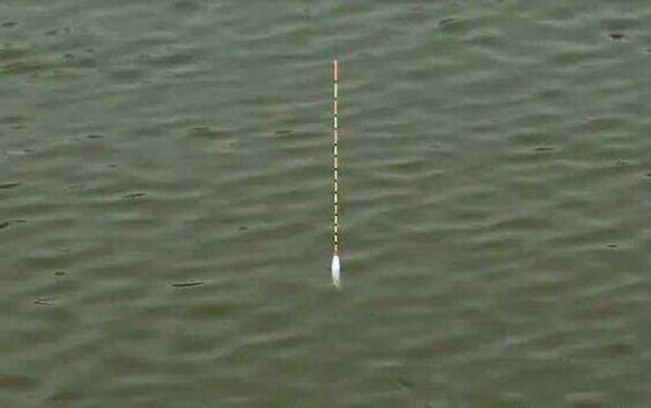 顶漂是什么原因?形成原理非常简单,但实际鱼情可能很复杂!