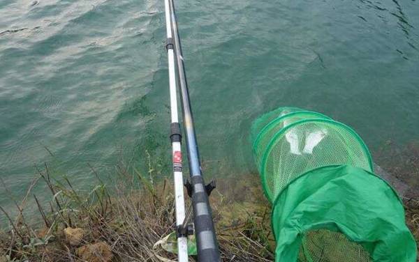 水库钓鱼有哪些技巧?掌握这6个钓鱼技巧,大鲫大鲤不再是梦!