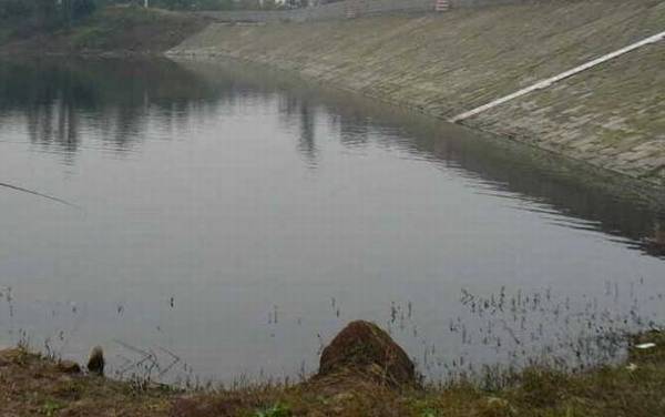 水库钓鱼有哪些技巧?掌握这6个钓鱼技巧,大鲫大鲤不再是梦!