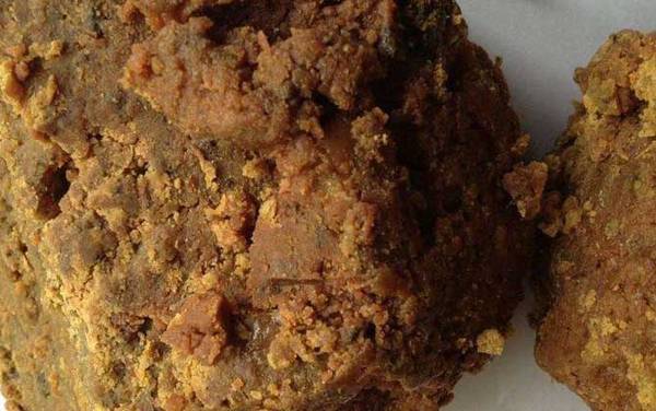 阿魏钓鱼真的有用吗?有一定的诱鱼效果,但千万不要过于迷信!