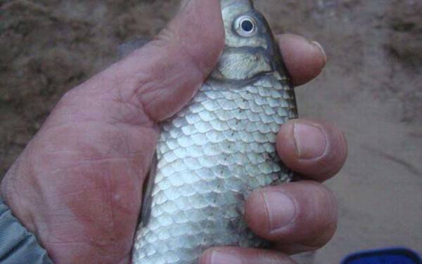 钓鱼高手是怎么炼成的?若能做到这10点,你也能成为钓鱼高手!