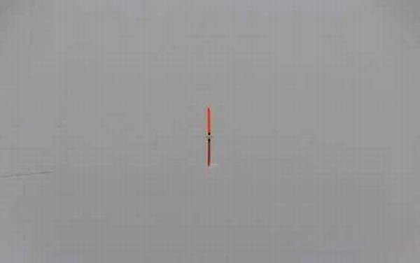 钓鱼看漂有什么技巧?看懂这7种漂相,上鱼率能提高50%以上!