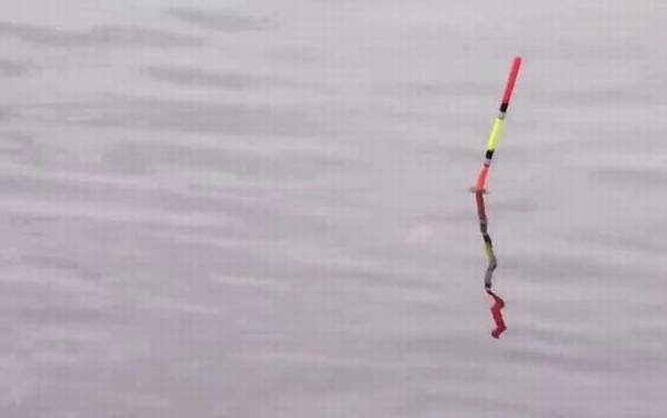 钓鱼看漂有什么技巧?看懂这7种漂相,上鱼率能提高50%以上!