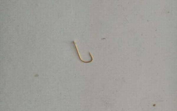 4号金袖野钓合适吗?几乎能通杀鲫鱼,但遇到鲤鱼容易变形!