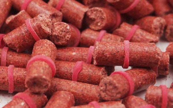 红虫颗粒饵料怎么挂钩?非常简单,直接挂在皮筋上即可作钓!