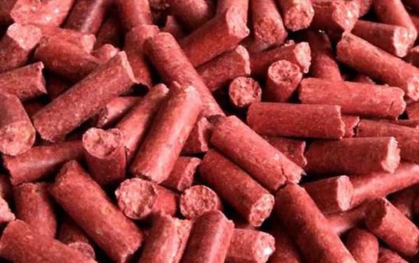 红虫颗粒饵料怎么挂钩?非常简单,直接挂在皮筋上即可作钓!