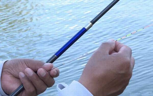 钓鱼怎么调漂才正确?新手按这4个步骤调漂,也能成为钓鱼高手!
