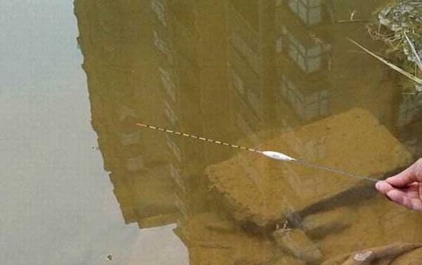 钓鱼怎么调漂才正确?新手按这4个步骤调漂,也能成为钓鱼高手!