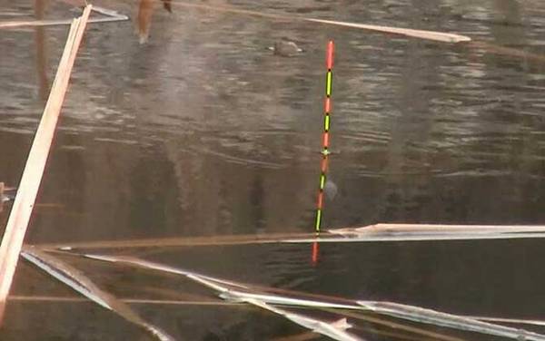 传统钓_用什么线组_和台钓的区别_怎么用立漂