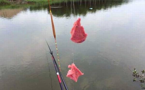 台钓_入门知识_调漂技巧_线组搭配