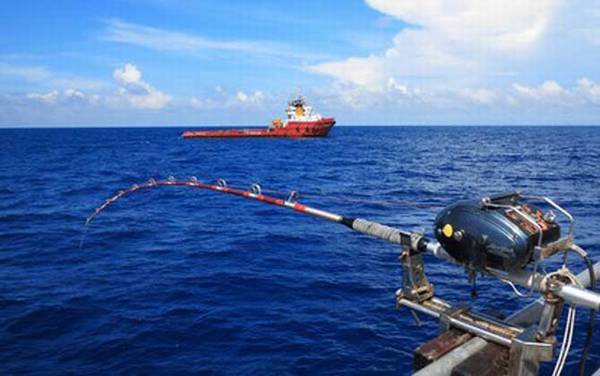 海钓_入门技巧_鱼饵大全_钓组搭配