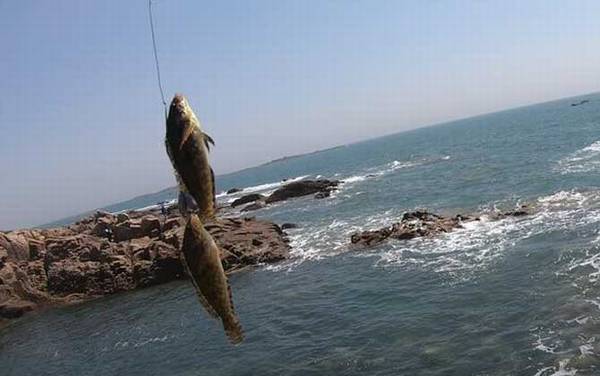 矶钓_浮游矶钓_入门技巧_线组搭配