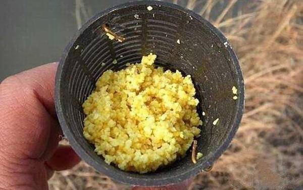 打窝_什么意思_钓鱼打窝技巧_窝料配方大全