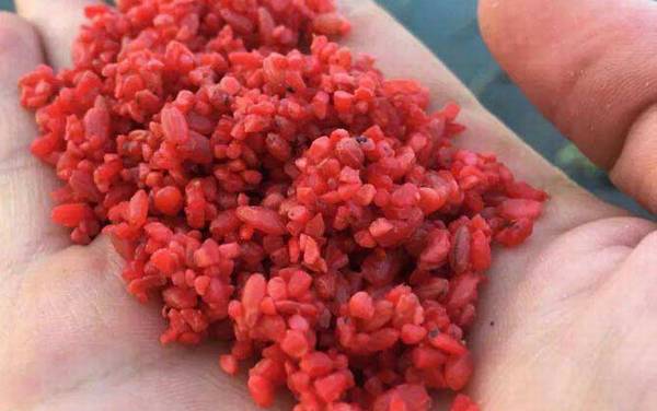 酒米_制作方法_打窝技巧_钓什么鱼