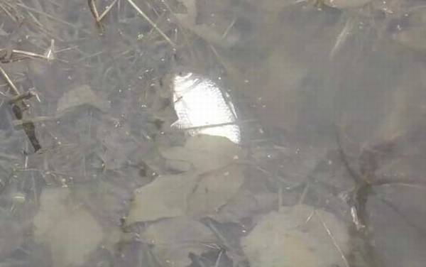 冬季钓鱼_技巧和方法_钓几米深最好_用什么味型饵料