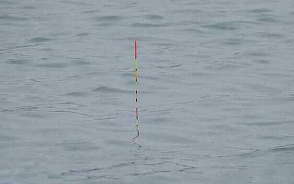 漂相_口诀_种类大全_提竿时机