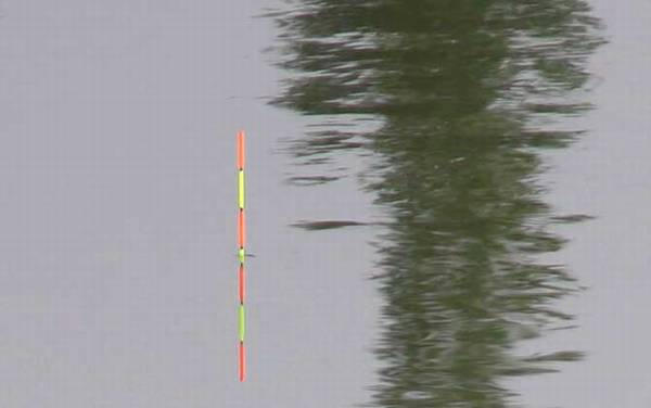 黑漂_什么时候提竿_不中鱼原因_跑鱼怎么回事