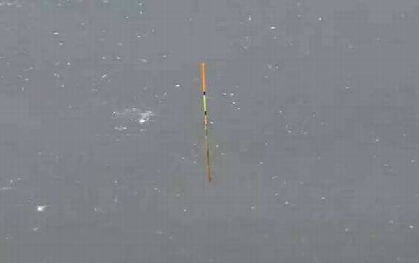 送漂_什么原因_提竿时机_不中鱼怎么解决