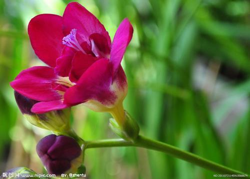 �Ϸ����ݱ����࣭���ܣ�ͼƬ