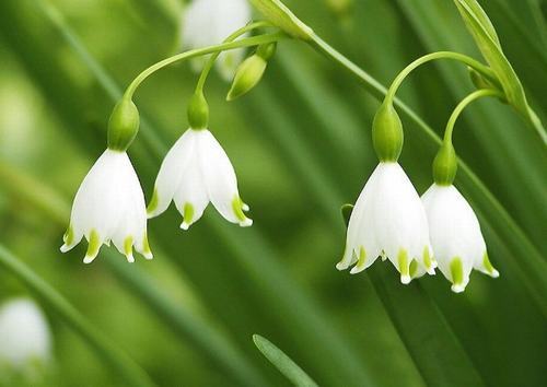 �Ϸ����ݱ����࣭���ܣ�ͼƬ