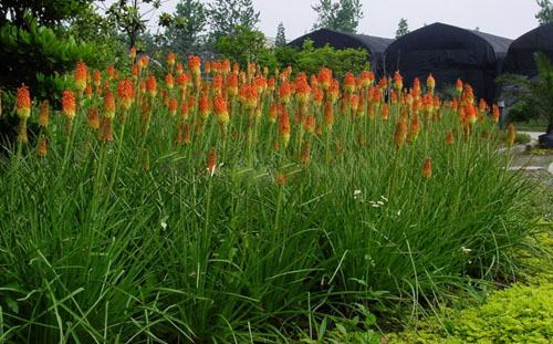 �Ϸ����ݱ����࣭���ܣ�ͼƬ