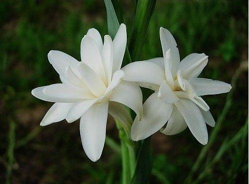 �Ϸ����ݱ����࣭���ܣ�ͼƬ