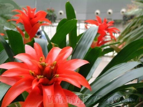 �Ϸ����ݱ����࣭���ܣ�ͼƬ