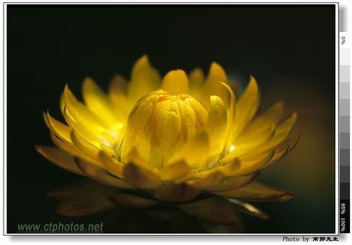 �Ϸ����ݱ����࣭���ܣ�ͼƬ