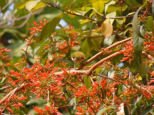 �Ϸ���ľ�����࣭���ܣ�ͼƬ