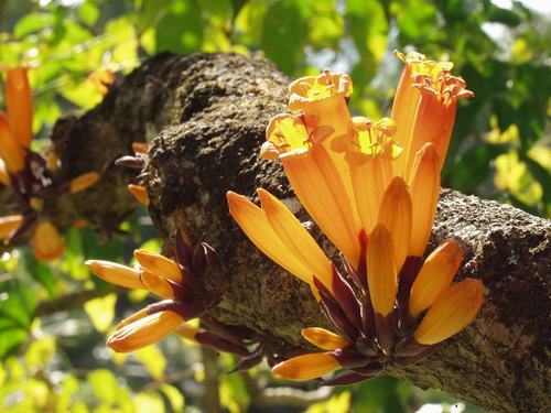 �Ϸ���ľ�����࣭���ܣ�ͼƬ