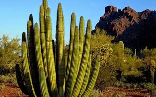 �Ϸ��������࣭���ܣ�ͼƬ