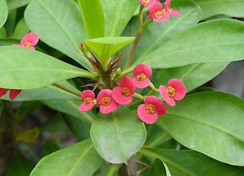 �Ϸ��������࣭���ܣ�ͼƬ