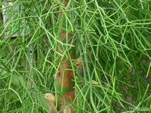 �Ϸ��������࣭���ܣ�ͼƬ