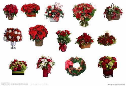 �Ϸ����ܷ�ֳ�������ͼƬ